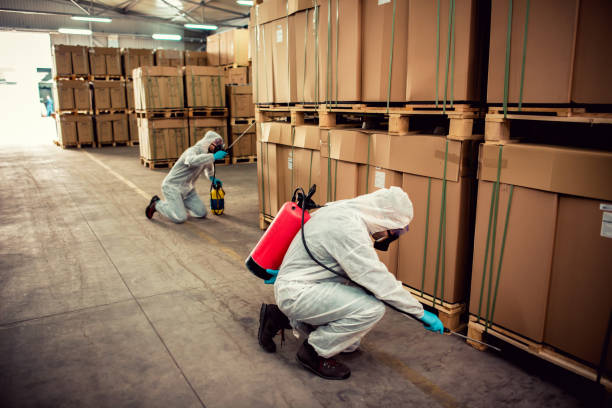 Best Exterminator Services  in Kennedy, CA