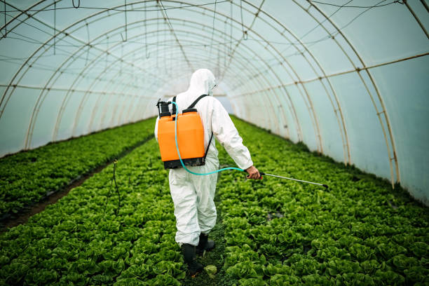 Best Affordable Pest Control Services  in Kennedy, CA