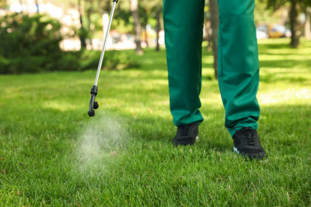 Professional Pest Control in Kennedy, CA