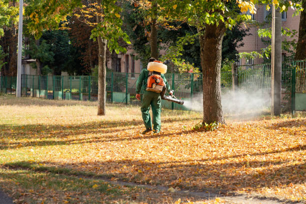 Best Pest Control Treatment  in Kennedy, CA